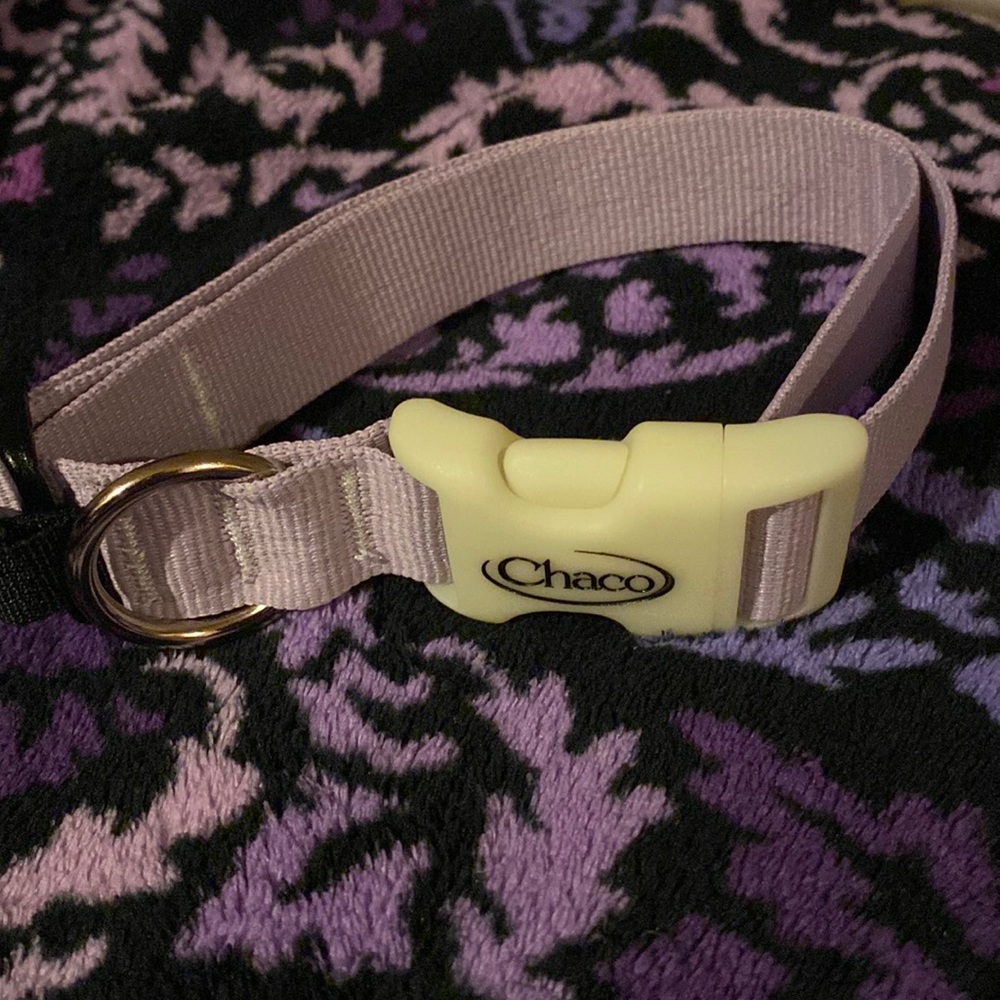 Chaco dog collar